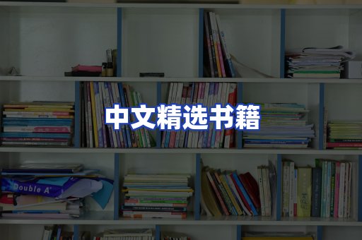 中文精选书籍